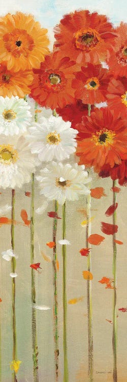 Daisies Fall II