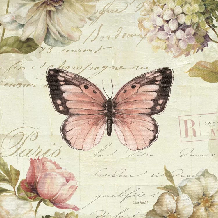 Marche de Fleurs Butterfly I by Lisa Audit wall art