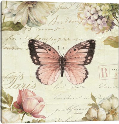 Marche de Fleurs Butterfly I Canvas Art Print - Lisa Audit