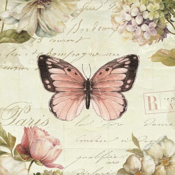 Lisa Audit: Marche de Fleurs Butterfly I by Lisa Audit