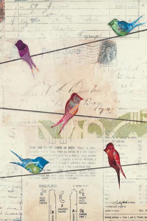 Birds on a Wire no Border