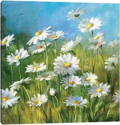 Summer Field II Canvas Art Print - Daisy Art