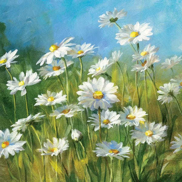 Daisies: Summer Field II by Danhui Nai