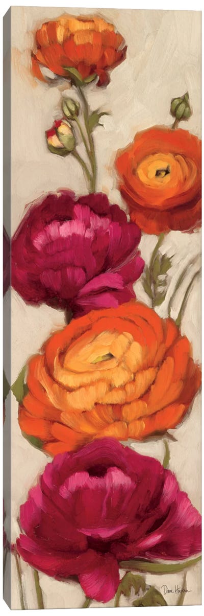 Free Range Roses I  Canvas Art Print