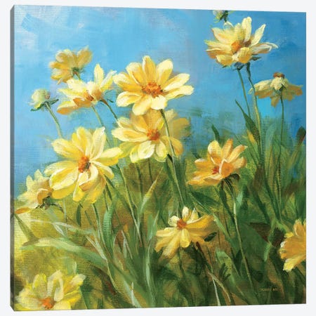 Summer Field I  Canvas Print #WAC217} by Danhui Nai Canvas Art
