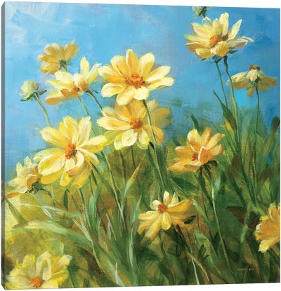 Summer Field I  Canvas Art Print - Garden & Floral Landscape Art
