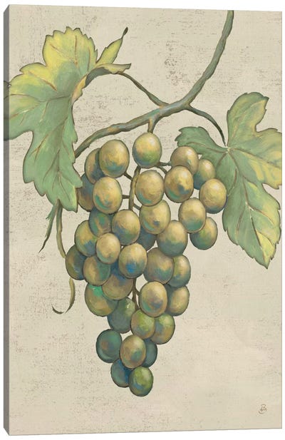 Lovely Fruits IV Neutral Plain  Canvas Art Print - Grape Art