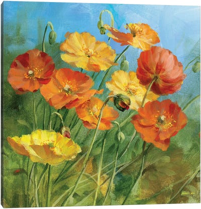 Summer Field IV  Canvas Art Print - Wildflowers