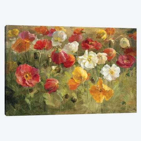 Poppy Field Canvas Print #WAC219} by Danhui Nai Canvas Art Print
