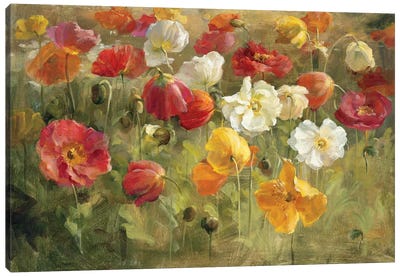 Poppy Field Canvas Art Print - Garden & Floral Landscape Art