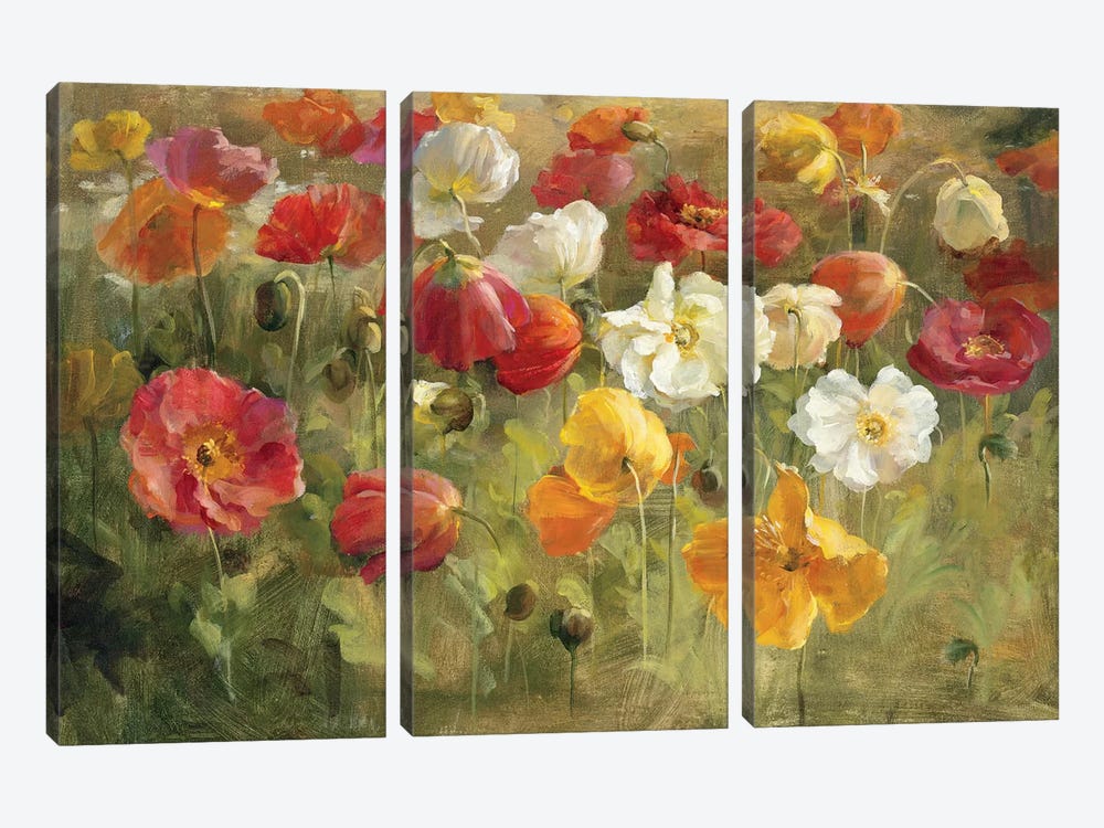 Poppy Field by Danhui Nai 3-piece Canvas Print