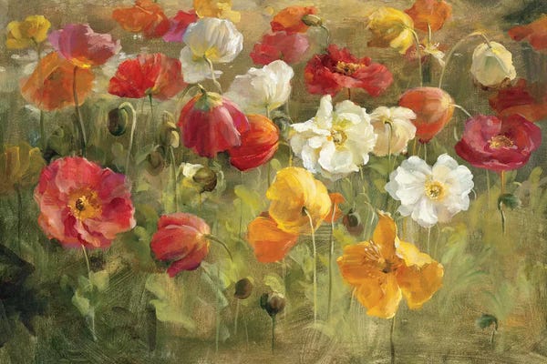 Poppies: Poppy Field by Danhui Nai