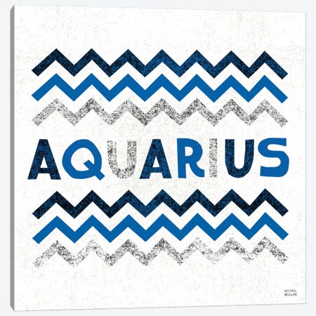 Zodiac Aquarius Canvas Print #WAC2206} by Michael Mullan Canvas Art