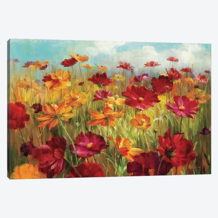 Cosmos in the Field Canvas Print #WAC220} by Danhui Nai Canvas Art