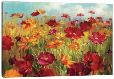 Cosmos in the Field Canvas Art Print - Garden & Floral Landscape Art