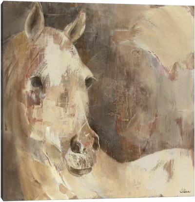 Jasmine Canvas Art Print - Horse Art