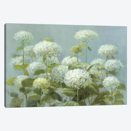 White Hydrangea Garden Canvas Print #WAC226} by Danhui Nai Canvas Art Print