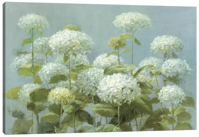 White Hydrangea Garden Canvas Art Print - Modern Farmhouse Décor