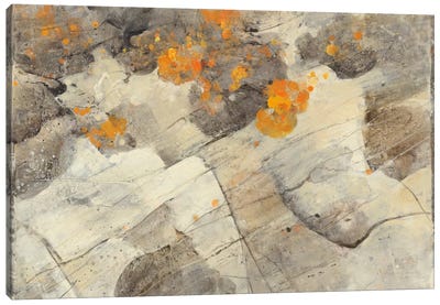 Lava Flow Canvas Art Print - Natural Forms