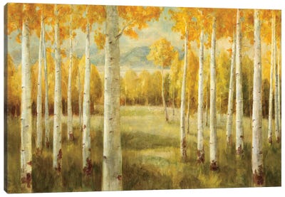 Aspens Canvas Art Print - Autumn & Thanksgiving