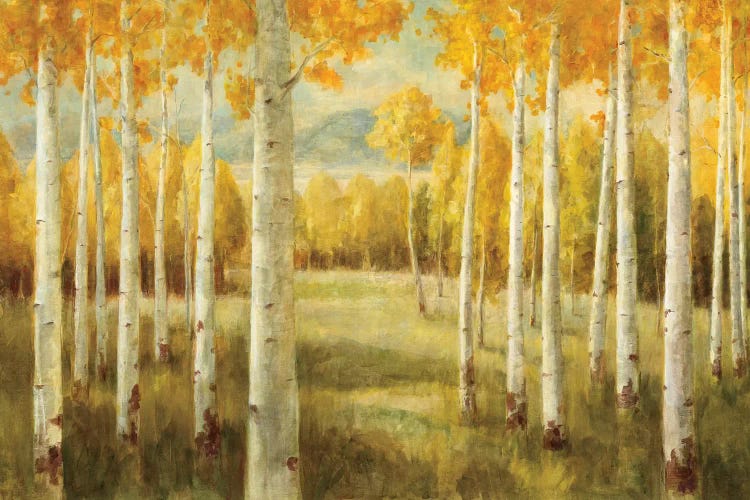 Aspens