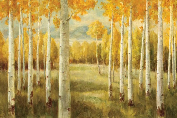 Autumn: Aspens by Danhui Nai