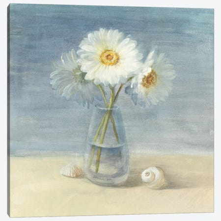 Daisies and Shells Canvas Print #WAC231} by Danhui Nai Art Print