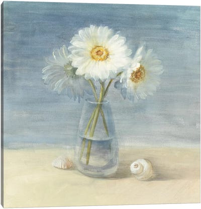 Daisies and Shells Canvas Art Print - Daisy Art