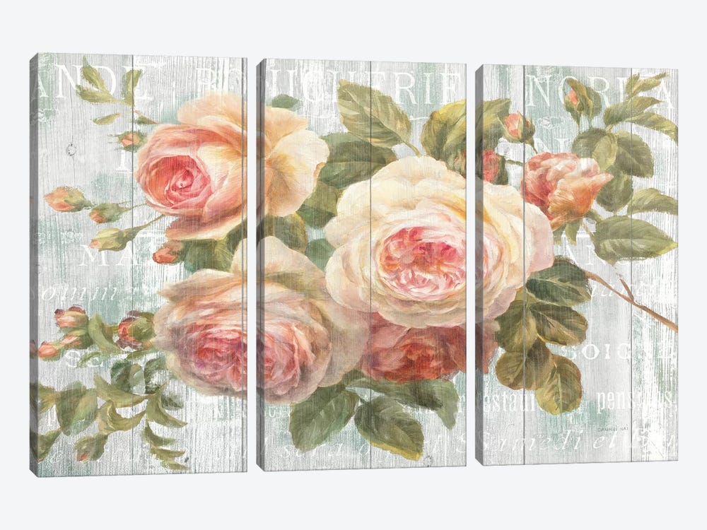 Vintage Roses on Driftwood by Danhui Nai 3-piece Canvas Wall Art