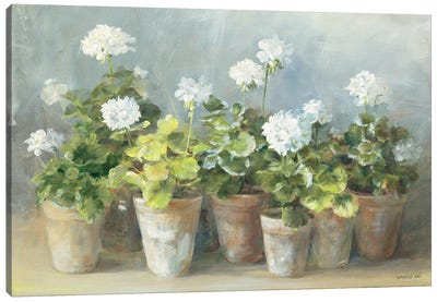White Geraniums Canvas Art Print - Pottery Still Life