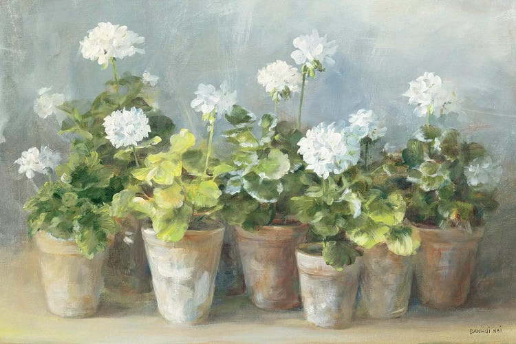 White Geraniums by Danhui Nai wall art