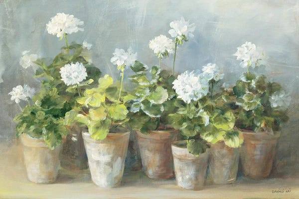 Country Décor: White Geraniums by Danhui Nai