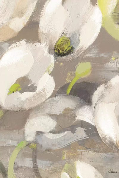 Abstract: Tulip Delight I by Albena Hristova