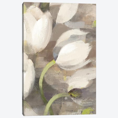 Tulip Delight II Canvas Print #WAC2785} by Albena Hristova Art Print