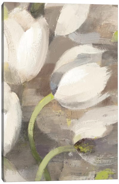 Tulip Delight II Canvas Art Print