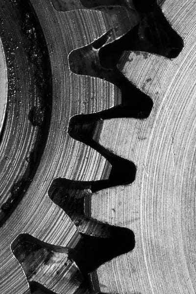 Interlocked III by Laura Marshall canvas print