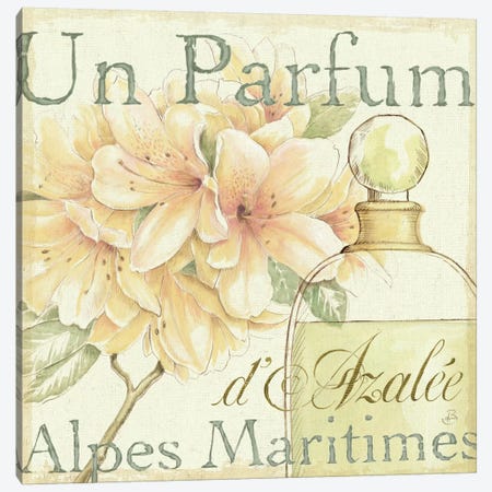 Fleurs and Parfum III Canvas Print #WAC292} by Daphne Brissonnet Art Print