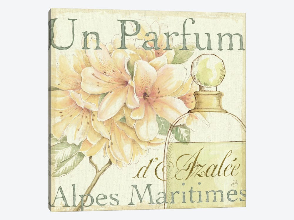 Fleurs and Parfum III by Daphne Brissonnet 1-piece Canvas Wall Art