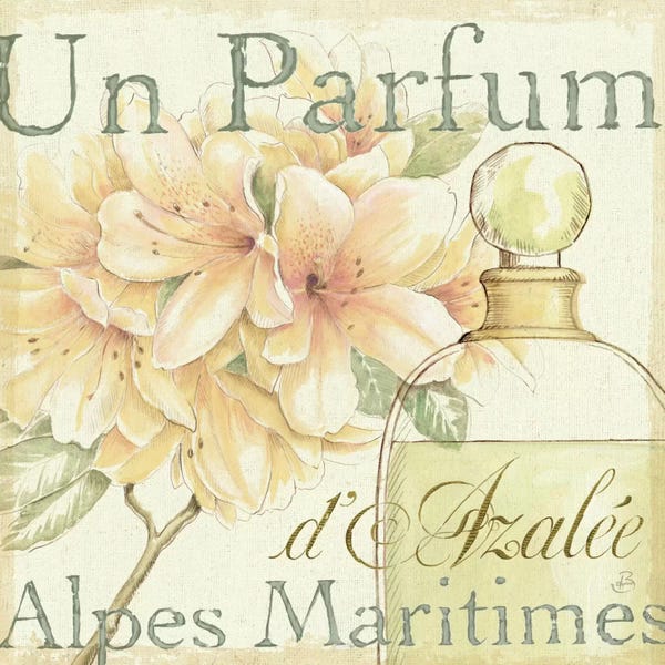 Perfume Bottles: Fleurs and Parfum III by Daphne Brissonnet