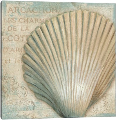 A La Plage IV Canvas Art Print - Sea Shell Art