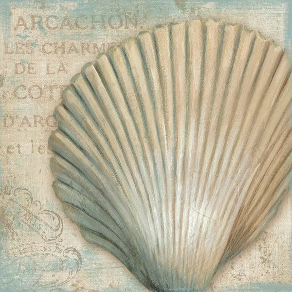 Sea Shells: A La Plage IV by Daphne Brissonnet