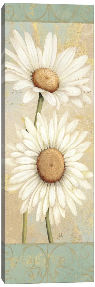 Beautiful Daisies I  Canvas Art Print - Daisy Art
