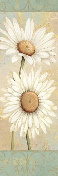 Daisies: Beautiful Daisies I  by Daphne Brissonnet