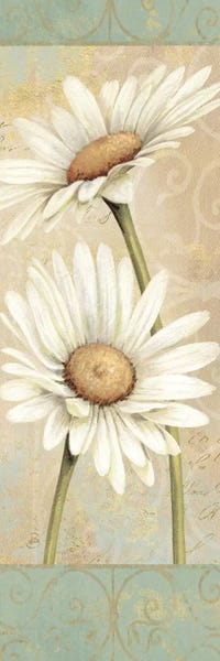 Daphne Brissonnet: Beautiful Daisies II  by Daphne Brissonnet