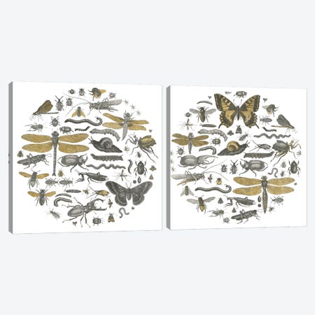 Insect Circle Diptych Canvas Print Set #WAC2HSET016} by Wild Apple Portfolio Canvas Wall Art