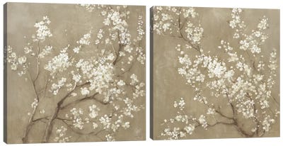 White Cherry Blossoms Diptych Canvas Art Print - Dogwood