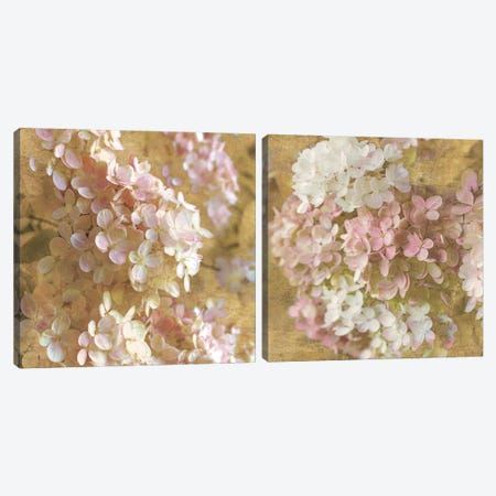 Gilded Hydrangea Diptych Canvas Print Set #WAC2HSET098} by All That Glitters Art Print
