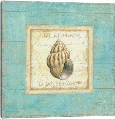 Bijou de Mer II  Canvas Art Print - Sea Shell Art