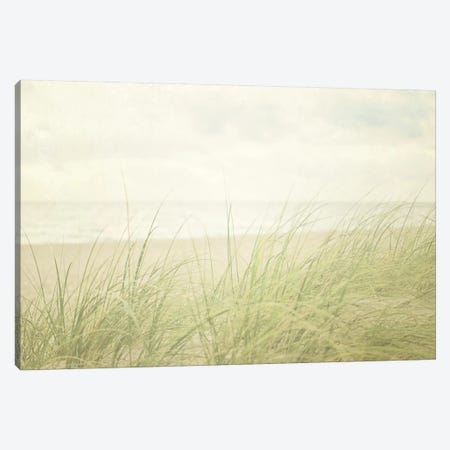 Beach Grass II Canvas Print #WAC3163} by Elizabeth Urquhart Art Print
