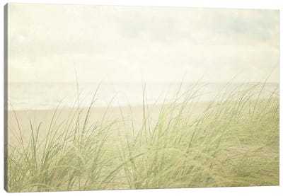 Beach Grass II Canvas Art Print - Elizabeth Urquhart